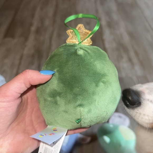 Tom - Picture 2 of 2